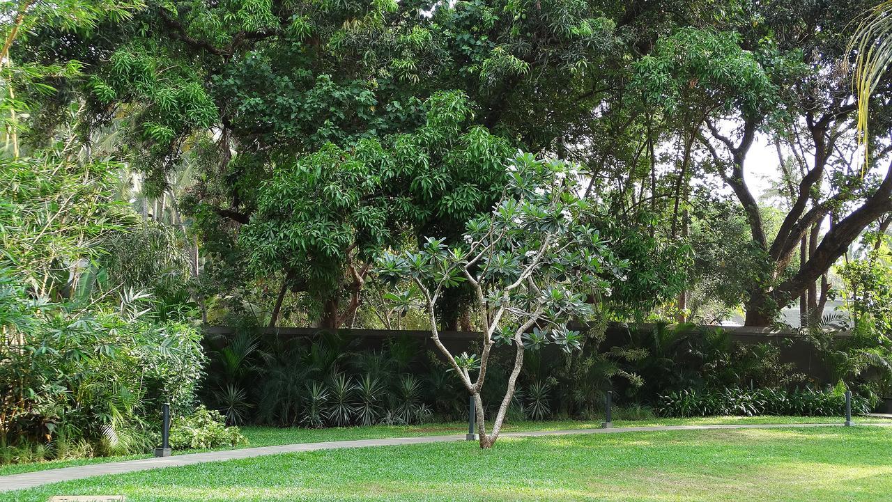 Andores Resort And Spa - Calangute Eksteriør billede